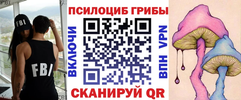 Купить  Азнакаево  Галлюциногенные грибы Psilocybine cubensis 